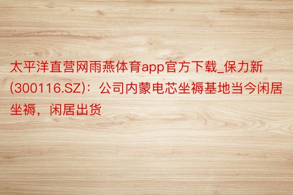 太平洋直营网雨燕体育app官方下载_保力新(300116.SZ)：公司内蒙电芯坐