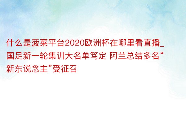 什么是菠菜平台2020欧洲杯在哪里看直播_国足新一轮集训大名单笃定 阿兰总结多名