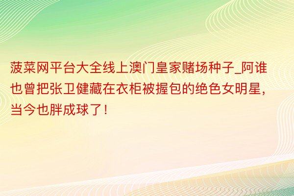 菠菜网平台大全线上澳门皇家赌场种子_阿谁也曾把张卫健藏在衣柜被握包的绝色女明星，当今也胖成球了！