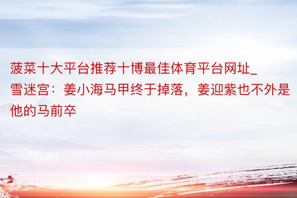 菠菜十大平台推荐十博最佳体育平台网址_雪迷宫：姜小海马甲终于掉落，姜迎紫也不外是他的马前卒